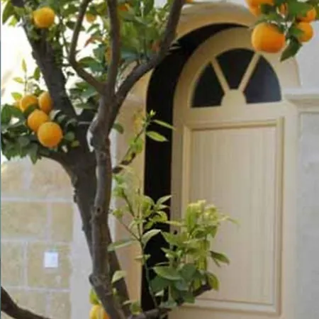 Bed & Breakfast Les Galeries De Beaulac Pézenas